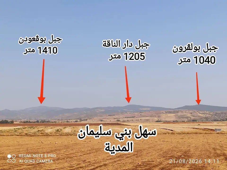 من قلب سهل بني سليمان: لوحة تجمع السهول وجبال التيطري